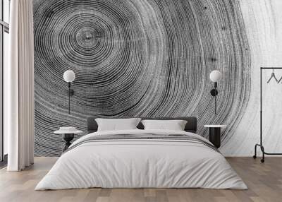 Black and white cut wood texture. Detailed black and white texture of a felled tree trunk or stump. Rough organic tree rings with close up of end grain. Wall mural