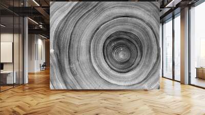 Black and white cut wood texture. Detailed black and white texture of a felled tree trunk or stump. Rough organic tree rings with close up of end grain. Wall mural