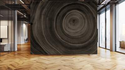 Black and white cut wood texture. Detailed black and white texture of a felled tree trunk or stump. Rough organic tree rings with close up of end grain. Wall mural