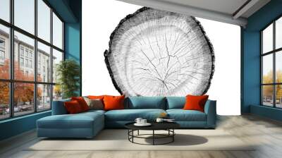 Black and white wood texture of tree rings from a slice of log. Grayscale wooden stump isolated on white. Wall mural