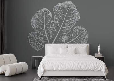 Fig leaves design illustration with stamp effect. Botanical print of a variety of fig leaf specimen.
 Wall mural