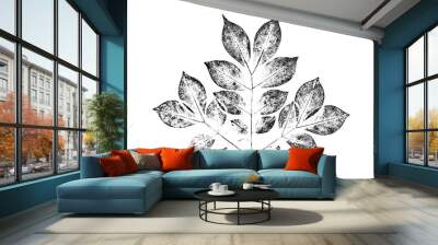 Ink stamp impression of a leaf or plant with organic texture. Isolated leaf print for floral art or pattern.
 Wall mural