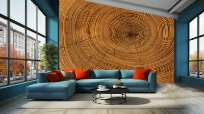 Old wooden oak tree cut surface. Detailed warm dark brown and orange tones of a felled tree trunk or stump. Rough organic texture of tree rings with close up of end grain. Wall mural