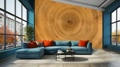 Organic natural tree cut surface. Detailed brown and orange tones of a felled tree trunk or stump. Rough organic texture of tree rings with close up of end grain. Wall mural