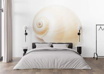 Realistic spiral shell art with natural neutral colors on a white background from the ocean Wall mural