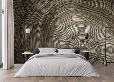 Sepia tones cut wood texture. Detailed black and white texture of a felled tree trunk or stump. Rough organic tree rings with close up of end grain. Wall mural