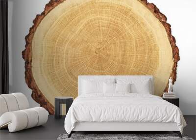 smooth cross section brown tree stump slice with age rings cut fresh from the forest with wood grain isolated on white Wall mural