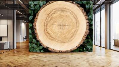 smooth cross section brown tree stump slice with age rings cut fresh from the forest with wood grain isolated on white Wall mural