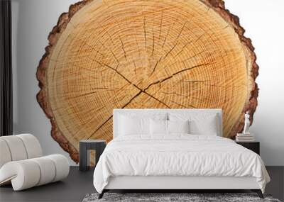 Wooden stump isolated on the white background. Round cut down tree with annual rings as a wood texture. Cross section of large tree. Wall mural