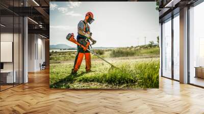 Backlit side view of a man removing grass with a trimmer Wall mural