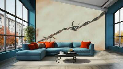 Barbed wire isolated on grungy background Wall mural