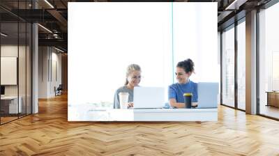 Two girls working with a laptop in an office ina coworking Wall mural