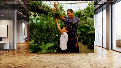 cheerful latinx Mexican middle aged father and young children son gardener working together in a greenhouse Wall mural