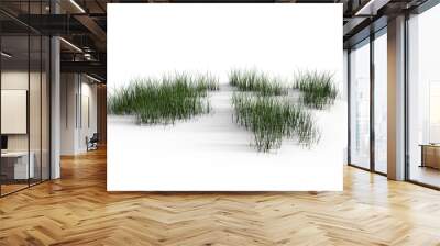 grass patches on transparent background. 3d rendering. Wall mural