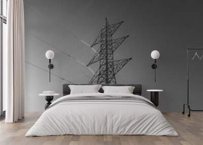 High voltage tower Wall mural