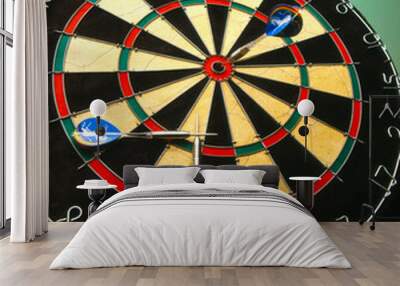 darts game in detail. darts strategy and rules Wall mural