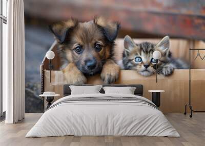 Adorable puppy and kitten in cardboard box, pet rescue and adoption concept, copy space Wall mural