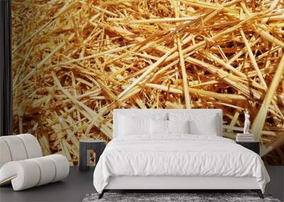 Straw as texture and background Wall mural