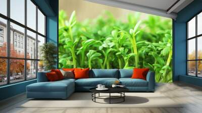 fresh green sprouts of cultivated garden cress Wall mural