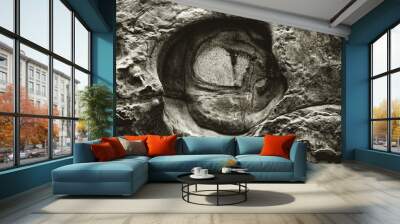 Mono Stone Ring Wall mural