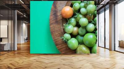 Close up of tomatoes, the fresh ripe juicy fruit harvested from organic allotment country garden, home grown in Summer vegan vegetarian salad birds eye view in metal colander vibrant green background Wall mural