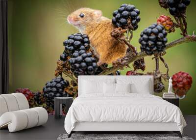 Harvest Mouse on Blackberries Wall mural