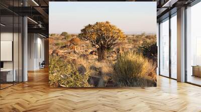 Afrikanische Landschaft Wall mural