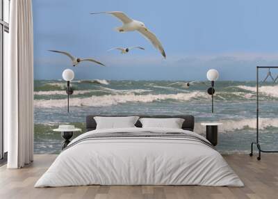 Seagulls Wall mural