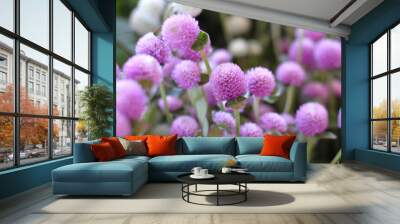 close up of a pink pom clover flower zoomed in Wall mural