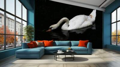 Cygne Wall mural