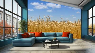 gold wheat field Wall mural