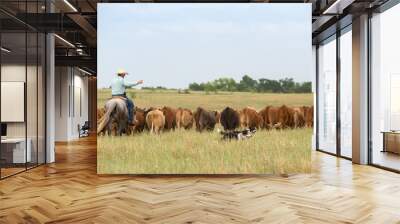 Moving cattle with working dogs Wall mural