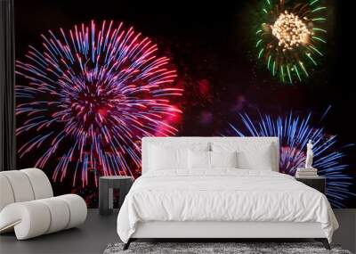 Fireworks on 4th of July Wall mural