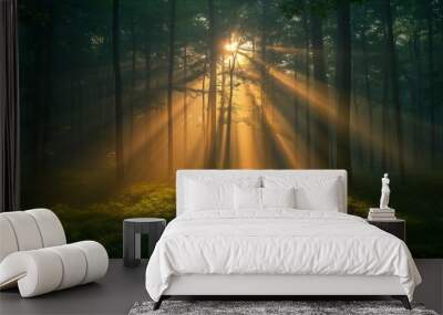 sunlight shining trees forest grass morning sun rays background break dawn light technology fog searchlights wonder devotion sunbeams reaching towards heavens amazing inspiring Wall mural