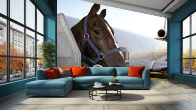 air transportation of horse Wall mural