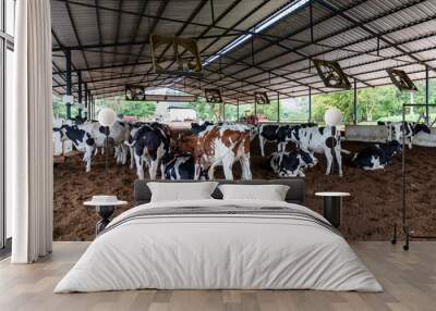 Milk cows in the Compost Barn Wall mural