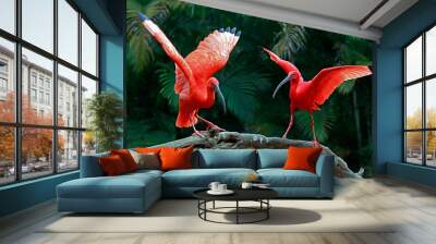 Two scarlet ibis vying for space on tree trunk. Brazil Wall mural