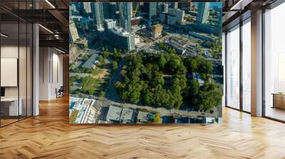 Seattle Washington Denny Park and Downtown District Aerial Perspective Wall mural