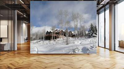 Winter snow on large modern homes Wall mural