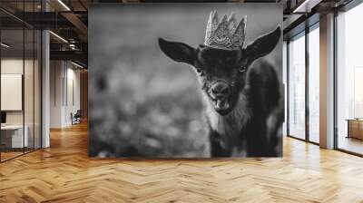 Nigerian Dwarf Doe Kid Dairy Goat in crown  Wall mural