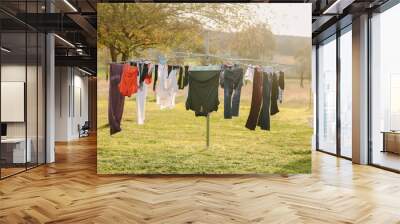 Australian backyard featuring hills hoist clothes line full of clean washing Wall mural