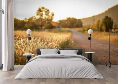 Dry grass beside country road in Australian bush land with golden tones. Background nature image with copy space. Wall mural