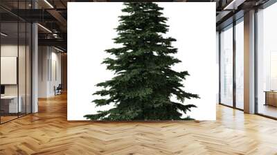 pine spring tree 3d render Wall mural