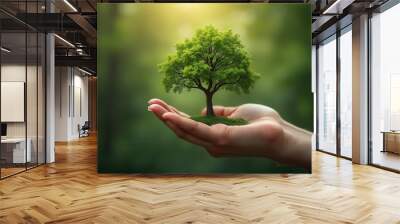 Hand Holding a Small Tree Growing Environmental Concept Wall mural