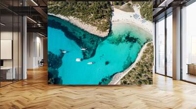 aerial: the beach of cala mondrago in mallorca, spain Wall mural