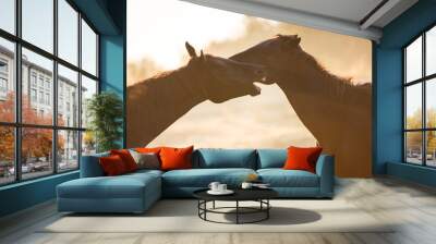 Two horses in misty sunlight Wall mural