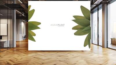 Fresh leaves of Foxtail Agave forming side borders. Top view isolated on white Wall mural