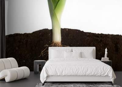 Fresh Leek Wall mural