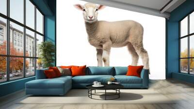 Close up photograph of a full body lamb isolated on a solid white background Wall mural