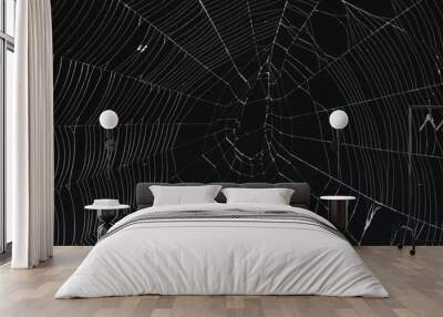 Spiderweb against a black background Wall mural